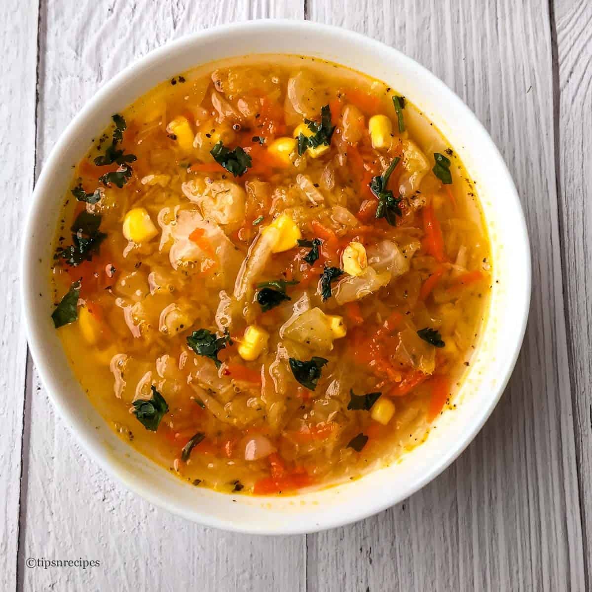 A delicious bowl of 3c weiht loss soup stew.