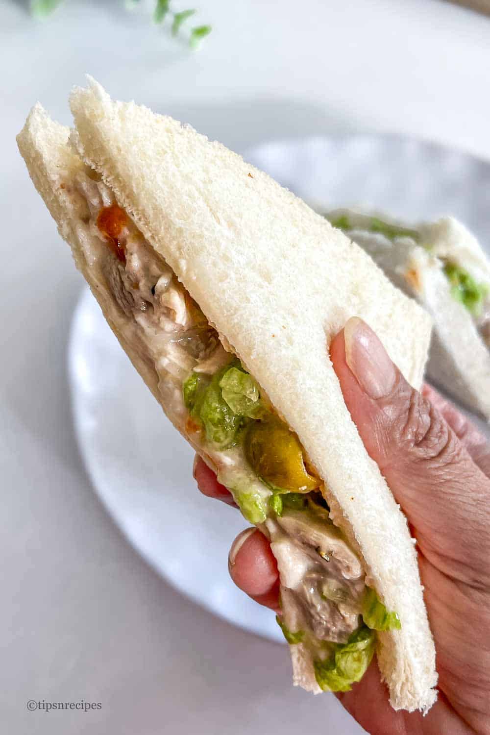 Close-up of a chicken salad sandwich with lettuce on white bread.